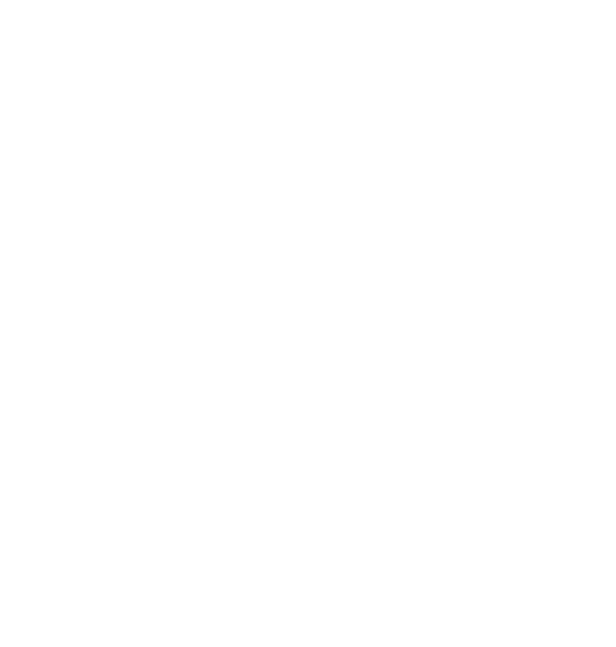 logo bizuu